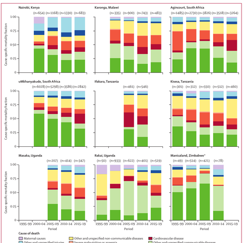 Cause-specific mortality fractions across nine surveillance sites